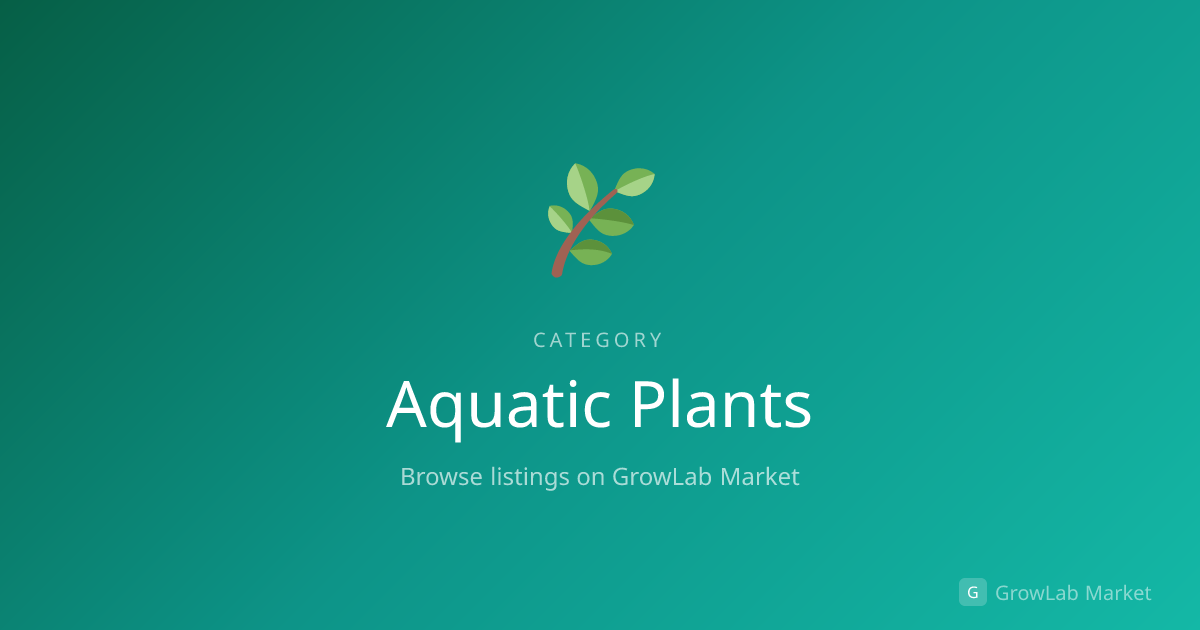 Aquatic Plants | GrowLab Market